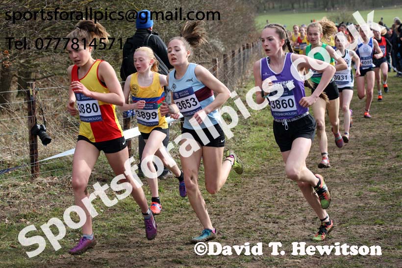 Girls under-15s 2019 British Athletics Inter Counties Cross Country, Prestwood Hall, Loughborough. Photo:  David T. Hewitson/Sports for All Pics